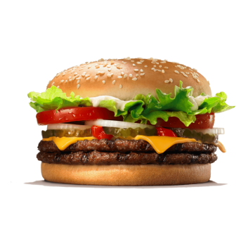 RobBurger T1000